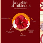 Organic AyurveGrocsyn Hibiscus Powder | Grocsy