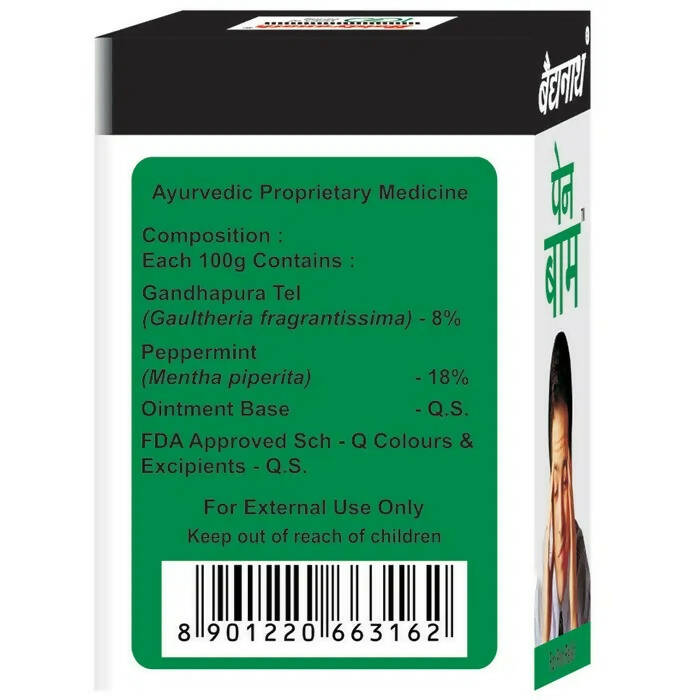 Baidyanath Nagpur Pain Relief Balm | Grocsy