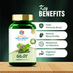 Search Wellness Giloy Capsules | Grocsy