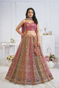 Kesar Fab Multi-Onion Net Embroidered Lehenga | Grocsy