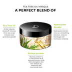De Fabulous Tea Tree Oil Sulphate Free Hair Masque For All Hair Types | Grocsy