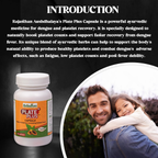 Rajasthan Herbals Plate Plus Capsules | Grocsy