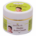 Ayurvedic Life Herbo Acne Cream | Grocsy