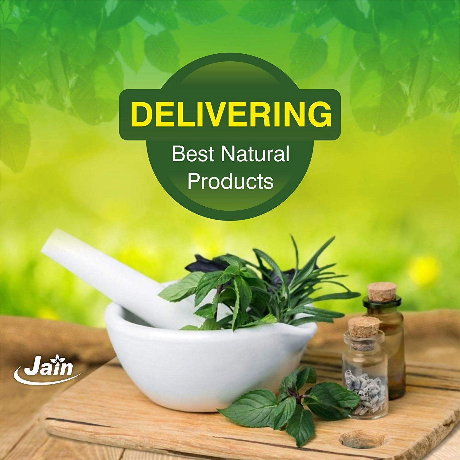 Jain Moringa Powder | Grocsy