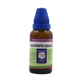 Father Muller Calotropis Gigantea Mother Tincture Q | Grocsy