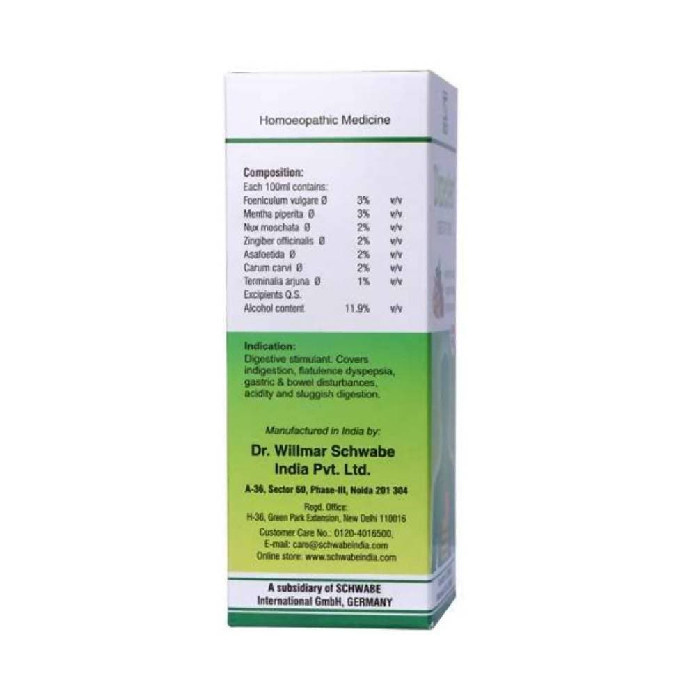 Dr. Willmar Schwabe India Dizester Digestive Tonic | Grocsy