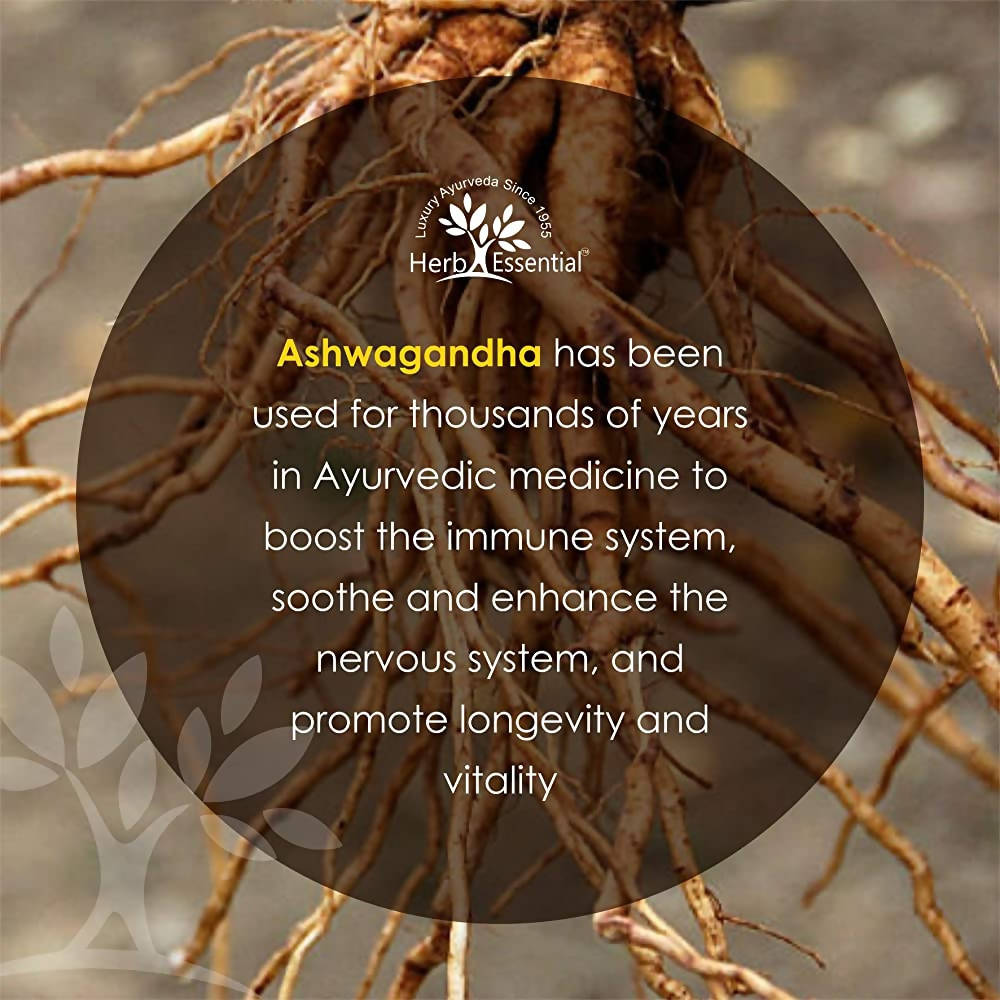 Herb Essential Ashwagandha Root Powder | Grocsy