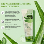 The Face Shop Jeju Aloe Fresh Soothing Foam Cleanser | Grocsy