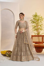 Aastha Fashion Metallic Gray Butterfly Net Tone To Tone Cotton Thread Work And Sequence Work Embroidery Wedding Wear Lehenga Choli | Grocsy
