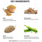Dr. Vaidya's Plant Protein Powder | Grocsy