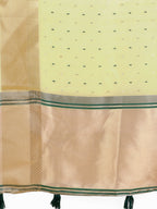 Shree Shyam Fashion Florance Light Green Organza Saree | Grocsy