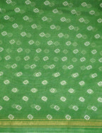 Shades Of Parrot Green Floral Design Semi Chanderi Saree By Gayathri Reddy Designer Studio | Grocsy