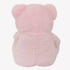 Webby Plush Cute Sitting Teddy Bear Soft Toys With Neck Bow And Foot Print, Pink | Grocsy