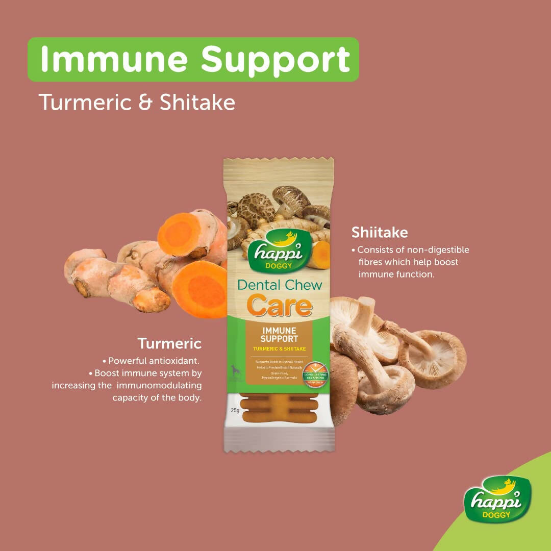 Happi Doggy Dental Chew Care Immune Support Turmeric & Shiitake | Grocsy