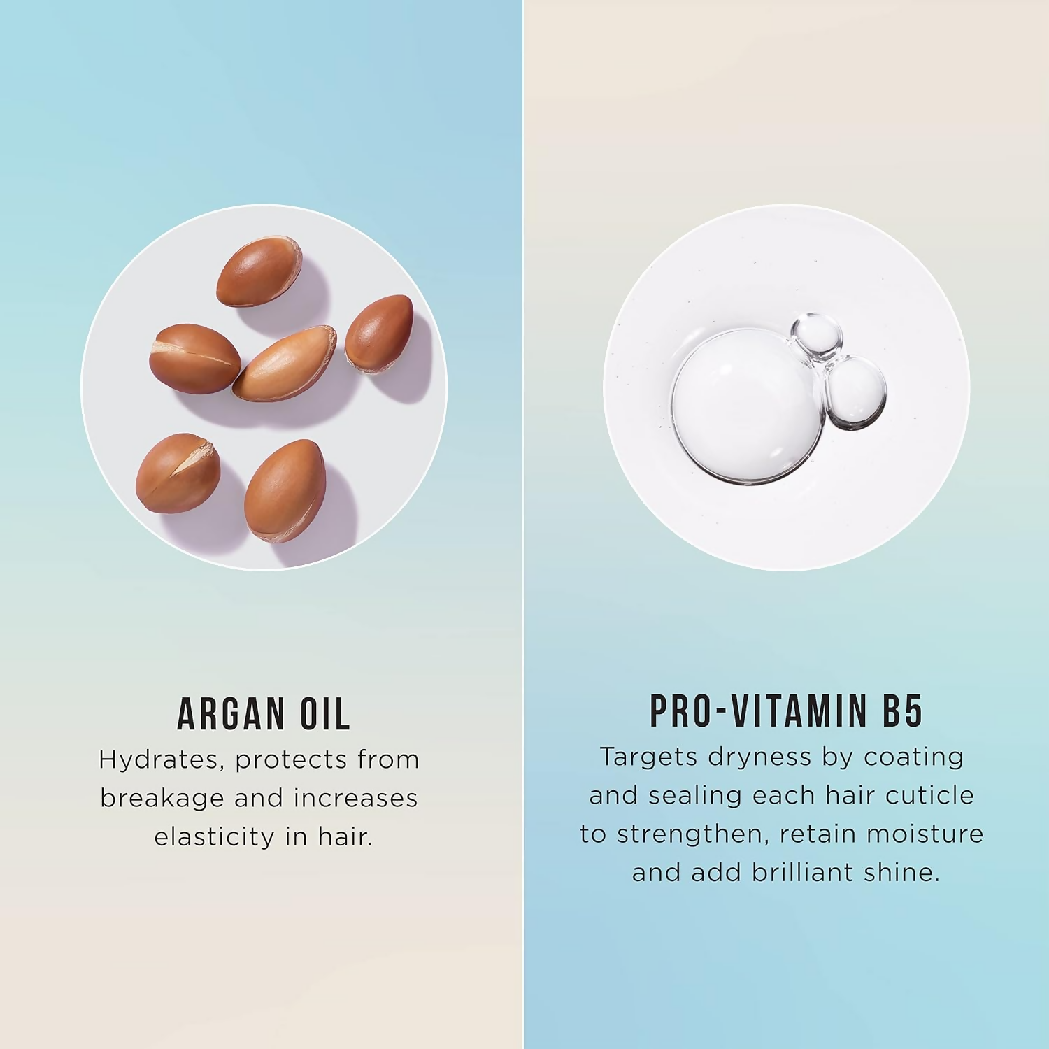 HASK Argan Oil 5-IN-1 Leave-IN-Conditioner Spray | Grocsy