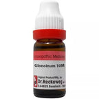 Dr. Reckeweg Glonoinum Dilution | Grocsy