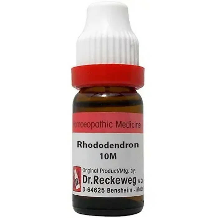 Dr. Reckeweg Rhododendron Dilution | Grocsy