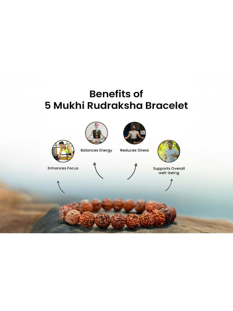 NVR 5 Mukhi Rudraksha Stretchable Bracelet