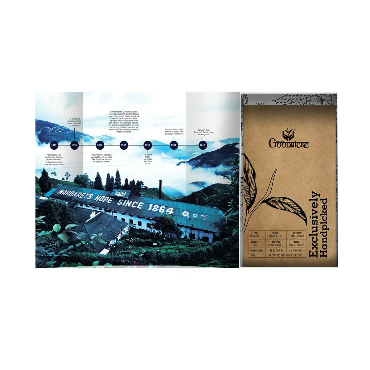 Goodricke Single Estate, Margaret’s Hope - Exclusive Darjeeling Tea | Grocsy