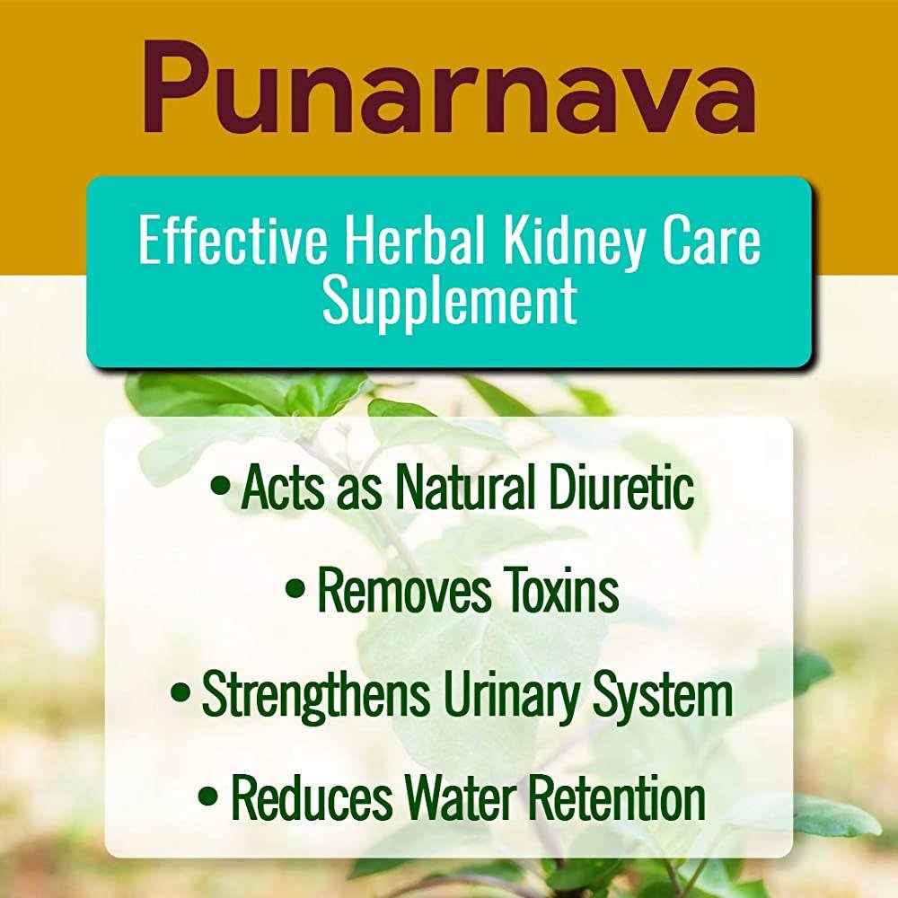 Ayurvedic Life Punarnava Powder | Grocsy