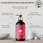 Ivory Natural Color Protection Hair Shampoo - Natural Solution For Coloured Hair | Grocsy