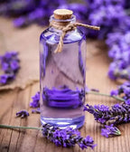 The Wellness Shop Pure Lavender Water | Grocsy