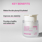 Innisfree Collagen Booster Green Tea Ceramide Bounce Cream Refill | Grocsy