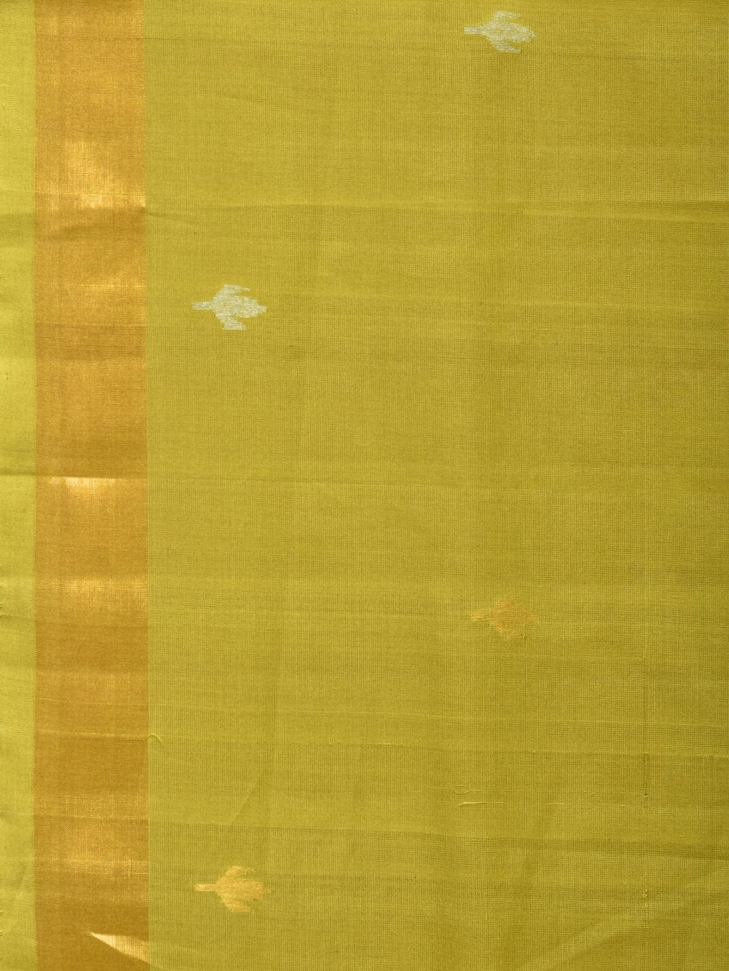 Olive Uppada Cotton Handloom Saree with Jamdani Pallu Design - Global Threads | Grocsy