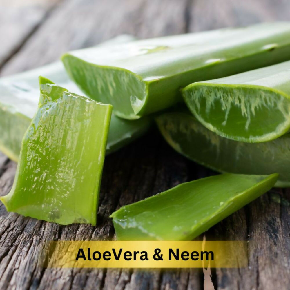 Prakriti Herbal Soap Aloevera and Neem | Grocsy