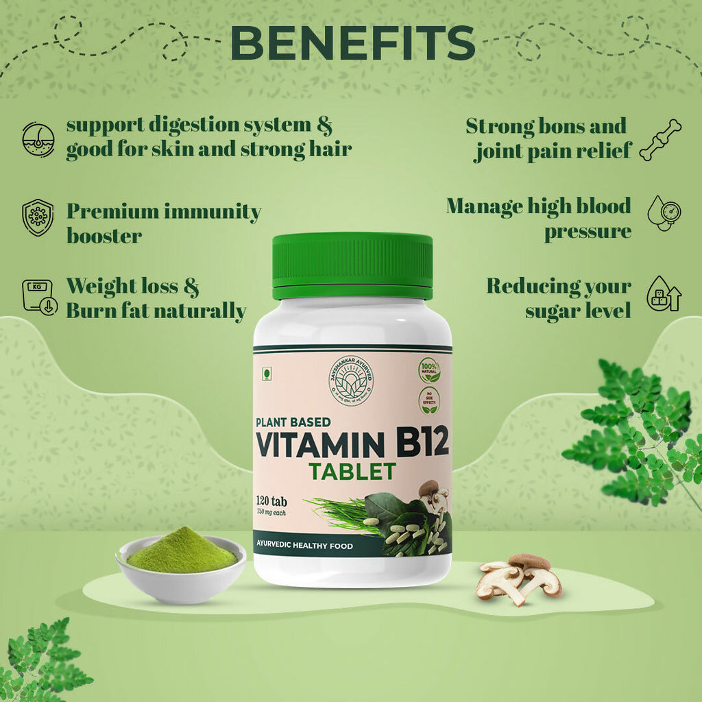 B12-120-NS-4
