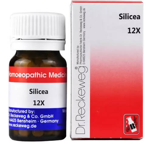 Dr. Reckeweg Silicea Biochemic Tablets | Grocsy