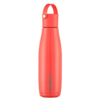 Dubblin Kiwi Vacuum Bottle | Grocsy