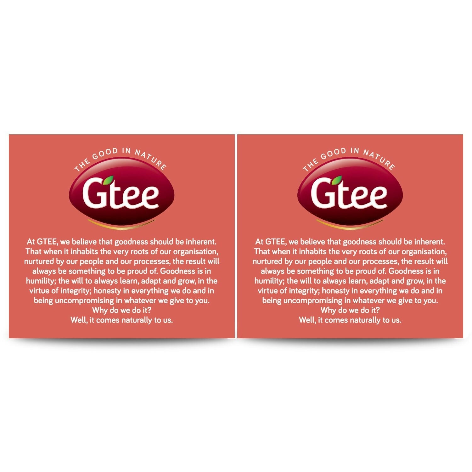 Gtee Green Tea Bags - Jasmine | Grocsy