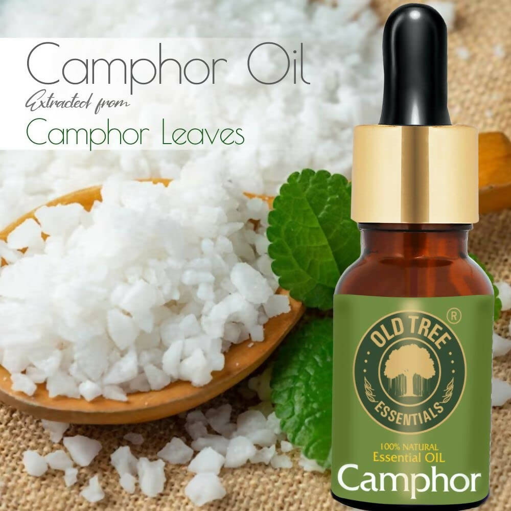Old Tree Camphor Essential Oil | Grocsy