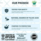 Pavanam Ayurveda Pure Himalayan Sj Resin Form | Grocsy