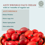 Buddha Natural Anti Wrinkle Face Cream - Reduce Fine Lines, Wrinkles & Skin Aging | Grocsy