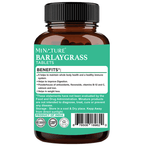 Minature Barlay Grass Tablets | Grocsy