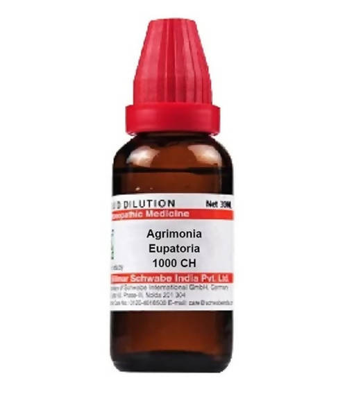Dr. Willmar Schwabe India Agrimonia Eupatoria Dilution | Grocsy