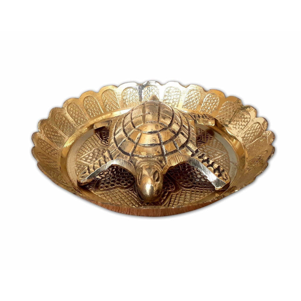 Tortoise with Small Brass Plate | Grocsy