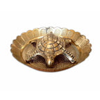 Tortoise with Small Brass Plate | Grocsy