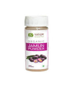 Siddhagiri's Satvyk Organic Jamun Powder | Grocsy