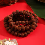 Pujashree Rudraksh Mala Large – Traditional Prayer Mala for Spiritual Healing, Chanting & Devotion | Grocsy