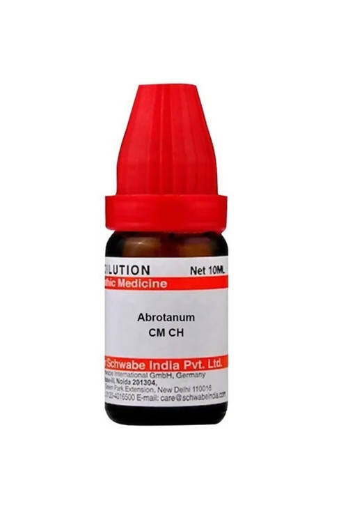 Dr. Willmar Schwabe India Abrotanum Dilution | Grocsy