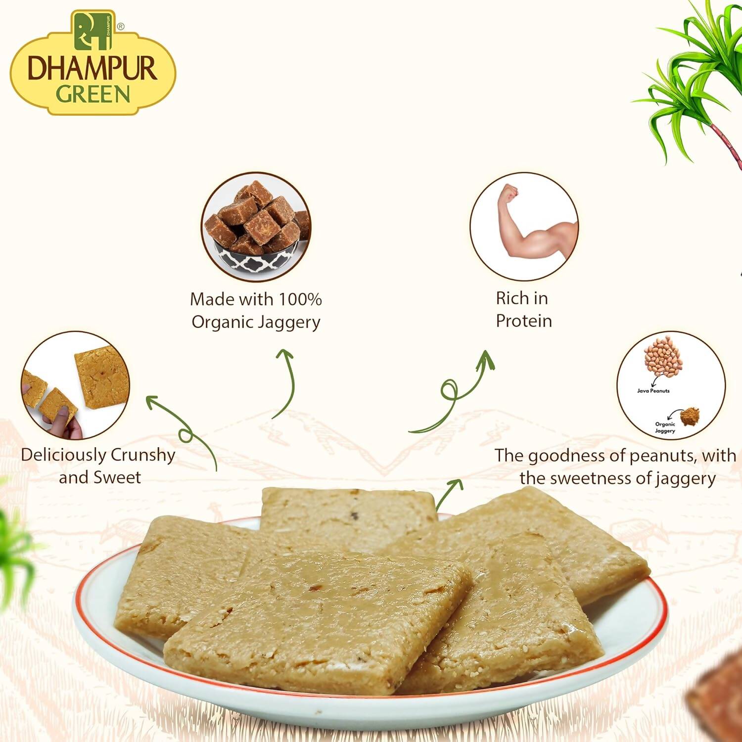 Dhampur Green Peanut Energy Bar | Grocsy