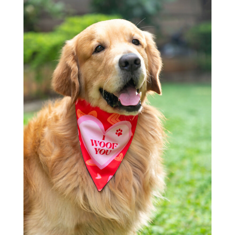 Waggety Dog Bandana - I Woof You, Soft Fabric, Stylish Pet Accessory for Dogs - Red | Grocsy