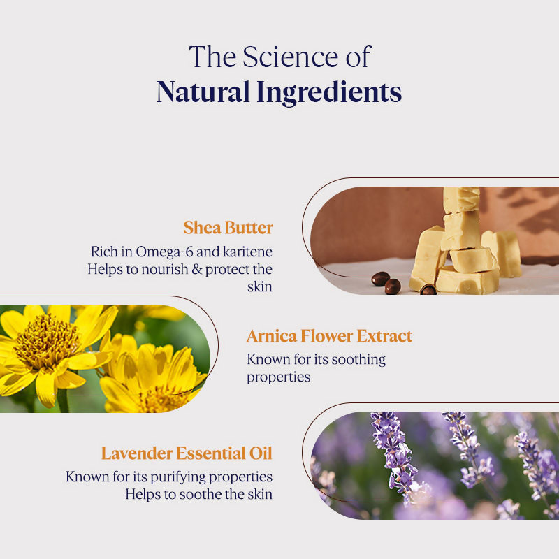 L'Occitane Shea Butter Foot Cream | Grocsy