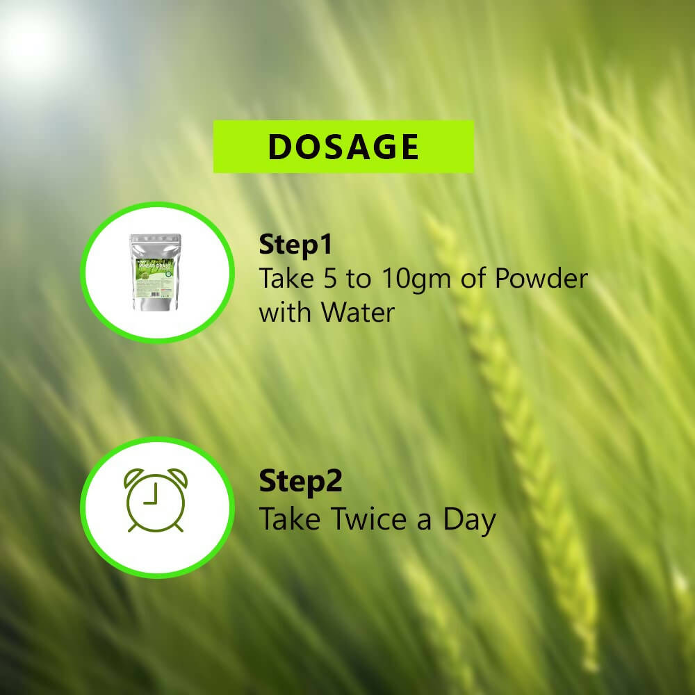 Syndy Pharma Organic Wheat Grass Powder | Grocsy