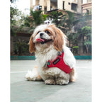 Waggety Adjustable Full Body Dog Harness - Comfortable Fit, Durable Polyester, Red | Grocsy