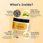 Arata Lip Balm Pack | Grocsy