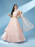 House of Panchhi Peach Net Gotapatti Work Lehenga & Blouse, Dupatta | Grocsy